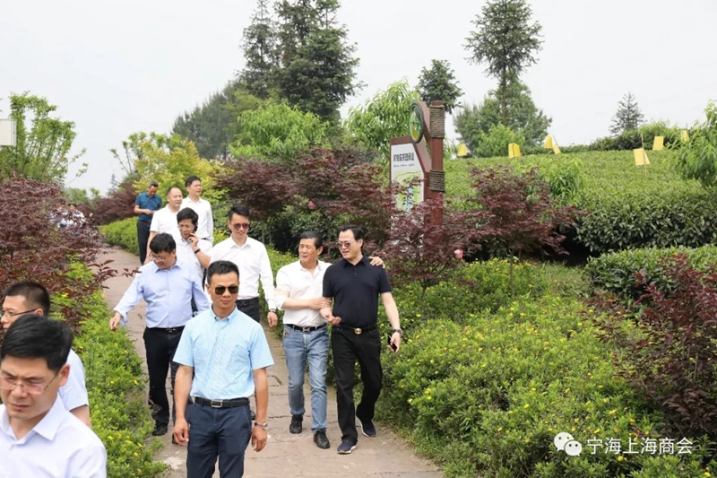 联商联谊，共谋发展